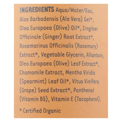 Organic Excellence Wild Mint Conditioner - 16 Oz - Orca Market