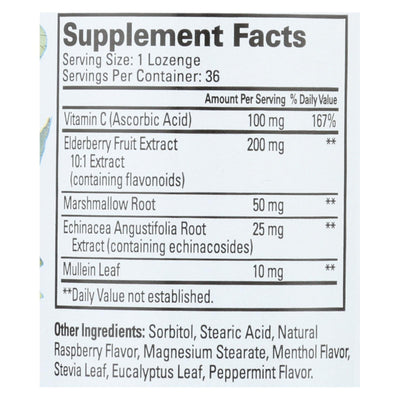 Quantum Elderberry Lozenges Raspberry - 36 Lozenges - Orca Market