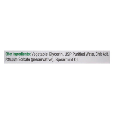 Nature's Answer - Chlorophyll Liquid - 1 Each-16 Fz - Orca Market