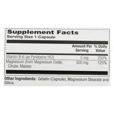 Nature's Life - Magnesium 500mg - 1 Each 1-100 Cap - Orca Market