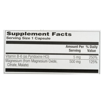 Nature's Life - Magnesium 500mg - 1 Each 1-100 Cap - Orca Market