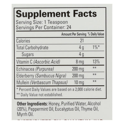 Quantum Elderberry Syrup - 4 Fl Oz - Orca Market