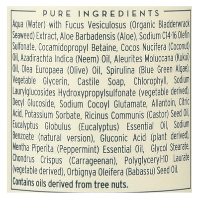 The Seaweed Bath Co Body Wash - Eucalyptus & Peppermint - 12 Fl Oz - Orca Market