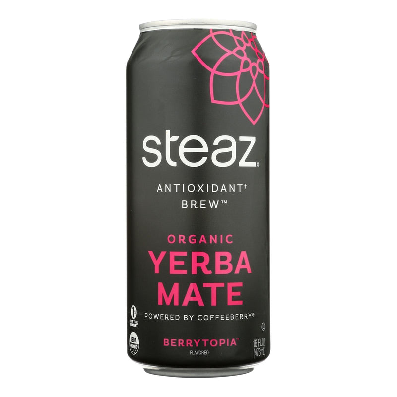 Steaz - Yerba Mate Brytopia - Case Of 12-16 Fz - Orca Market