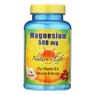 Nature's Life - Magnesium 500mg - 1 Each 1-100 Cap - Orca Market