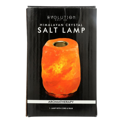 Evolution Salt Crystal Salt Lamp - Aromatherapy - 1 Count - Orca Market