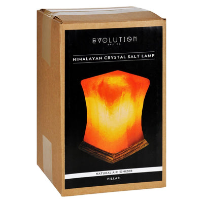 Evolution Salt Crystal Salt Lamp - Pillar - 1 Count - Orca Market